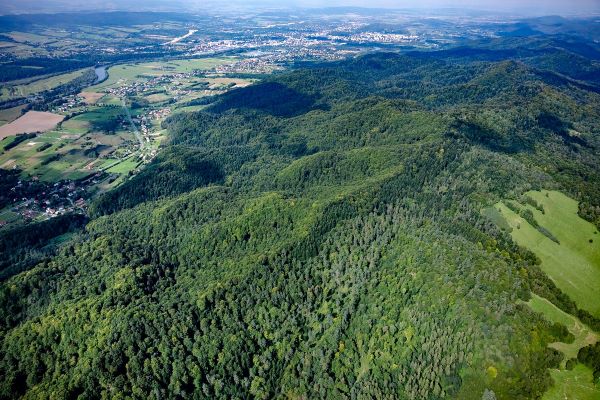 Pryroda Podkarpacia Zdjęcie